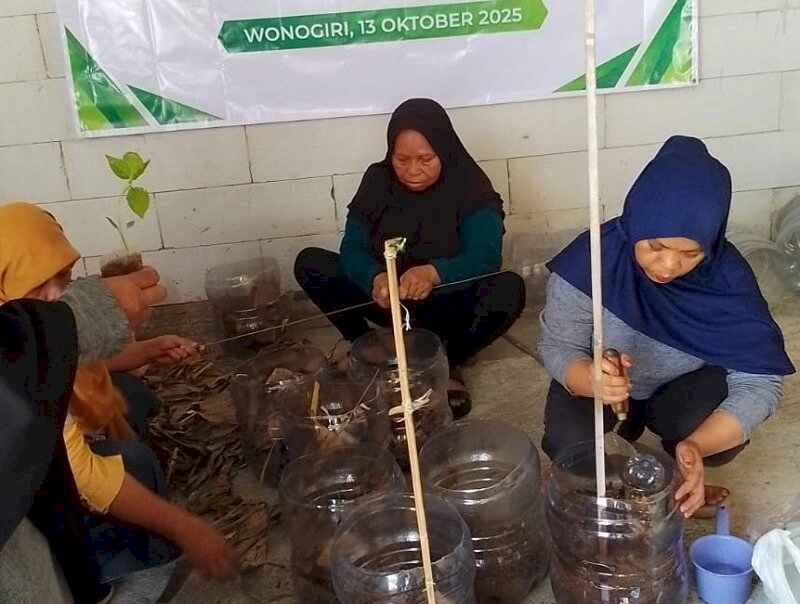 Surakarta Daily | Kemandirian Pangan Sedari Berkebun di Lahan Sempit