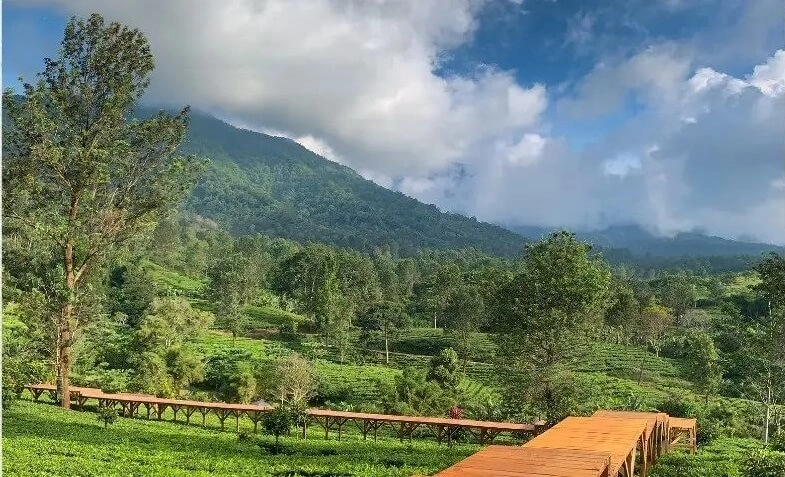 Surakarta Daily | Ketika Produk Hukum ‘Mendadak Gaib’