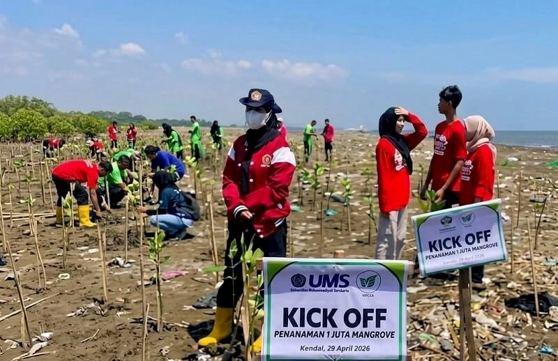 Surakarta Daily | Sejuta Mangrove Berjuta Harap